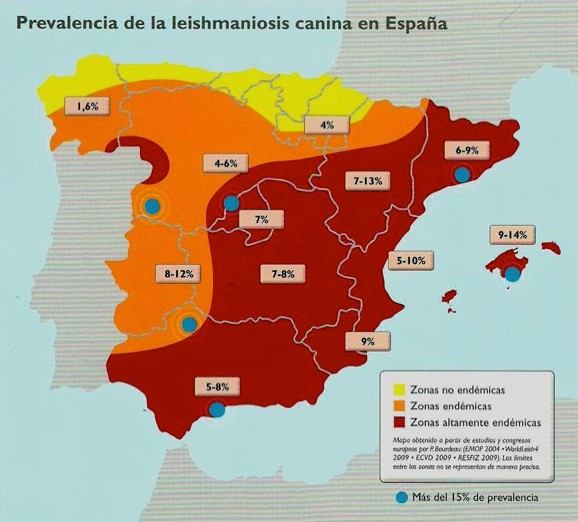 Distribución de Leishmania en España